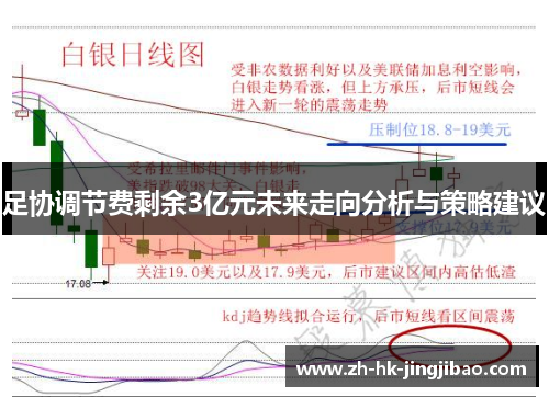 足协调节费剩余3亿元未来走向分析与策略建议 足协调节费剩余3亿元未来走向分析与策略建议