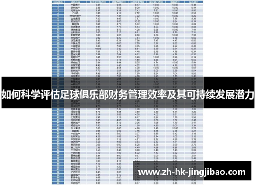 如何科学评估足球俱乐部财务管理效率及其可持续发展潜力