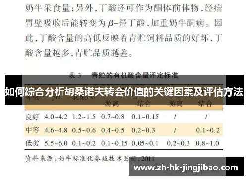 如何综合分析胡桑诺夫转会价值的关键因素及评估方法