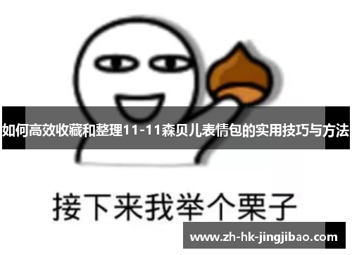 如何高效收藏和整理11-11森贝儿表情包的实用技巧与方法 如何高效收藏和整理11-11森贝儿表情包的实用技巧与方法