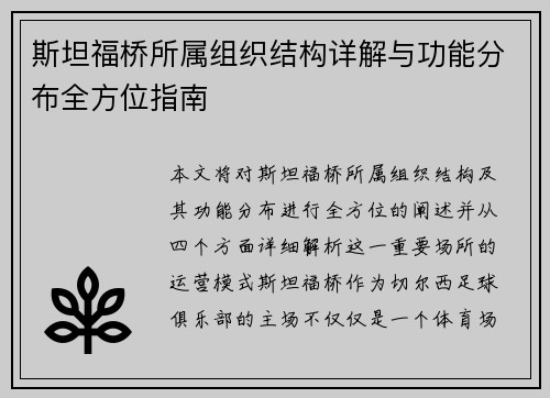 斯坦福桥所属组织结构详解与功能分布全方位指南