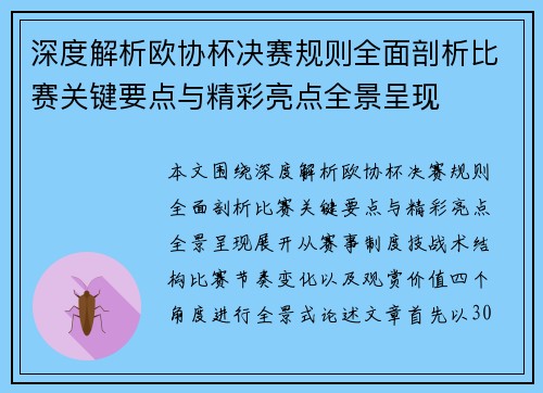 深度解析欧协杯决赛规则全面剖析比赛关键要点与精彩亮点全景呈现